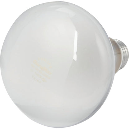 Philips DuraMax 65W Frosted Medium Base BR30 Incandescent Floodlight Light Bulb (2-Pack)