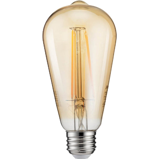 Philips Vintage Edison 40W Equivalent Amber Warm White ST19 Medium LED Decorative Light Bulb