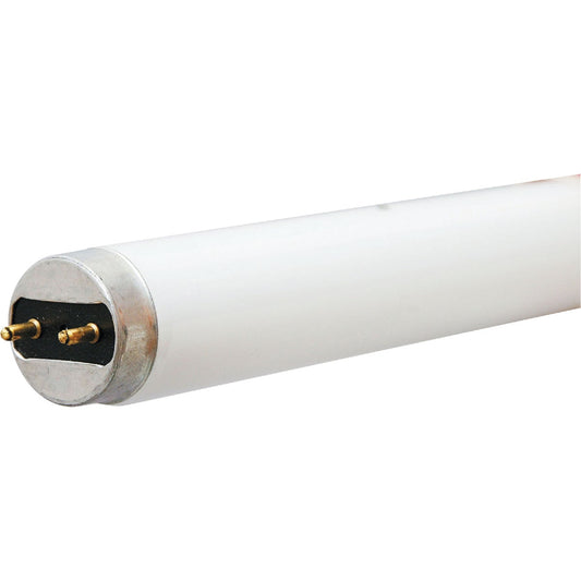 Philips ALTO 17W 24 In. Cool White T8 Medium Bi-Pin Fluorescent Tube Light Bulb (30-Pack)