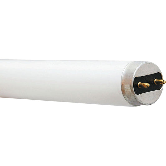 Philips ALTO 18W 24 In. Cool White T8 Medium Bi-Pin Fluorescent Tube Light Bulb (24-Pack)