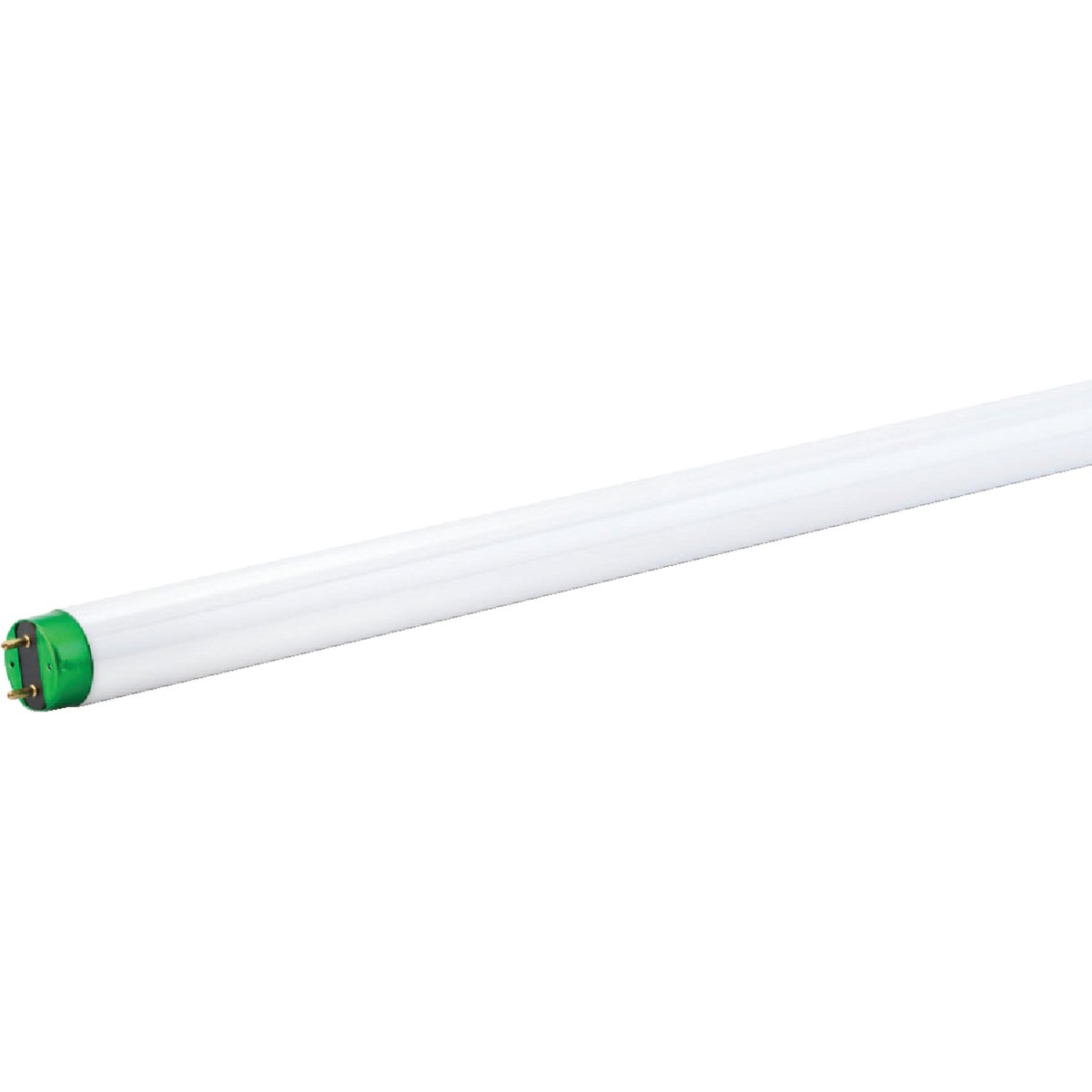 Philips ALTO 32W 48 In. Daylight T8 Medium Bi-Pin Fluorescent Tube Light Bulb (2-Pack)