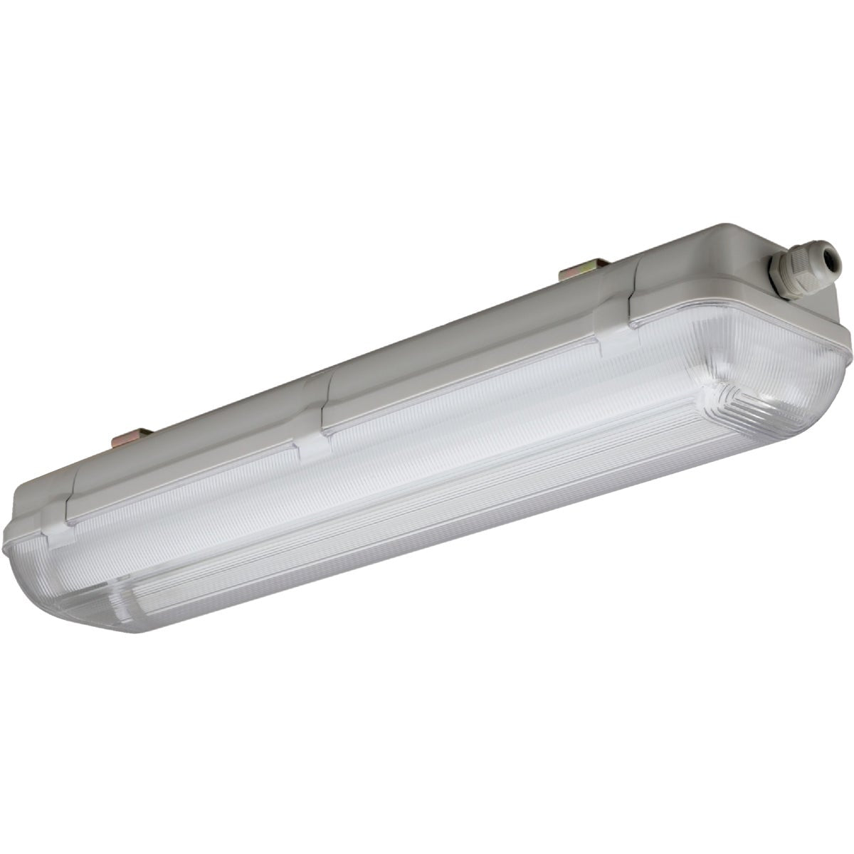 Lithonia 4 Ft. 2-Bulb Fluorescent T8 Wet Location Strip Light Fixture