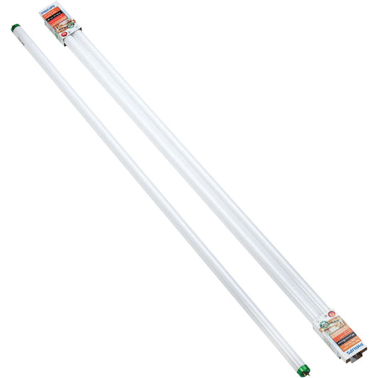 Philips ALTO 32W 48 In. Bright White T8 Medium Bi-Pin Fluorescent Tube Light Bulb (2-Pack)