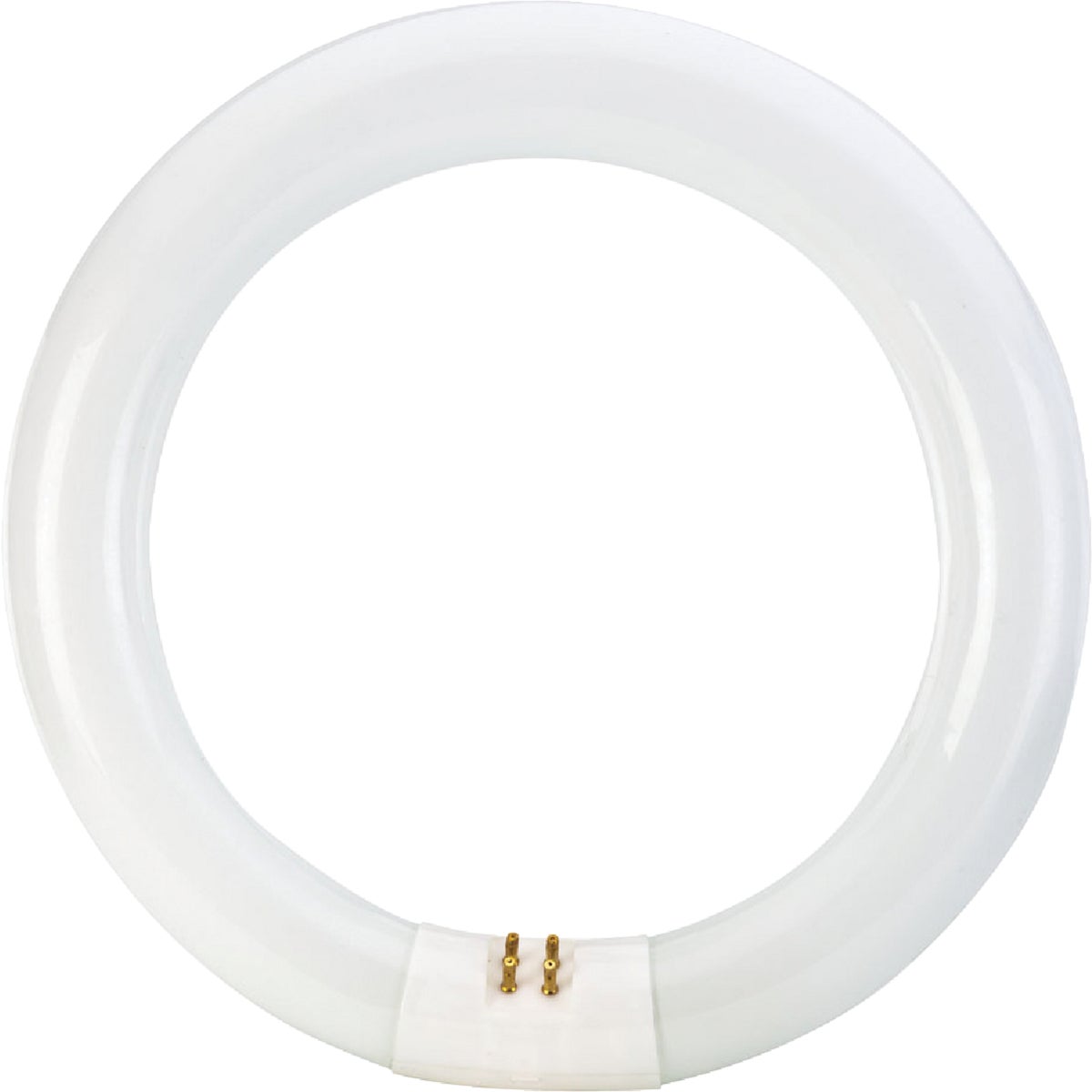 Philips 22W 8 In. Bright White T9 4-Pin Circline Fluorescent Tube Light Bulb
