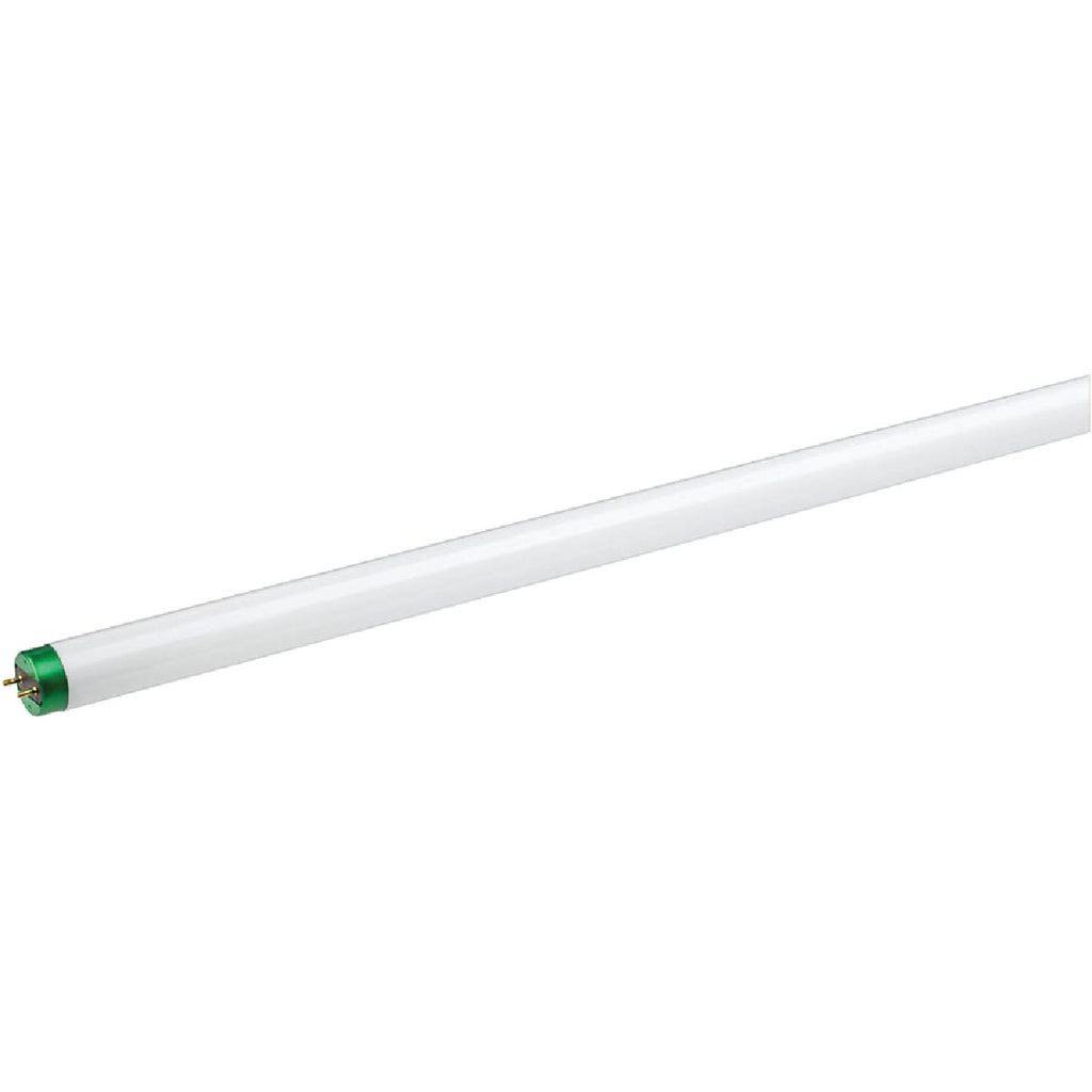 Philips 32W 48 In. Daylight T8 Medium Bi-Pin Fluorescent Tube Light Bulb (2-Pack)