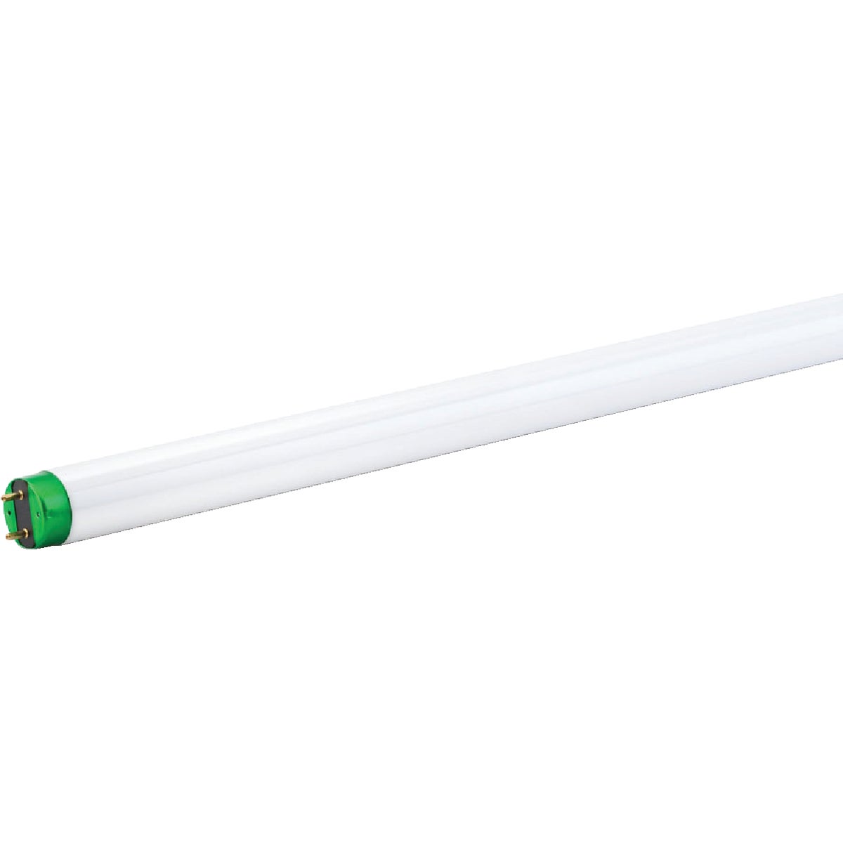 Philips 32W 48 In. Daylight T8 Medium Bi-Pin Fluorescent Tube Light Bulb (2-Pack)