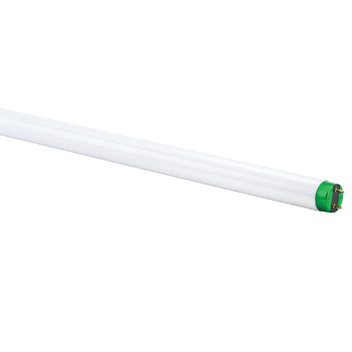 Philips ALTO 32W 48 In. Bright White T8 Medium Bi-Pin Fluorescent Tube Light Bulb (2-Pack)