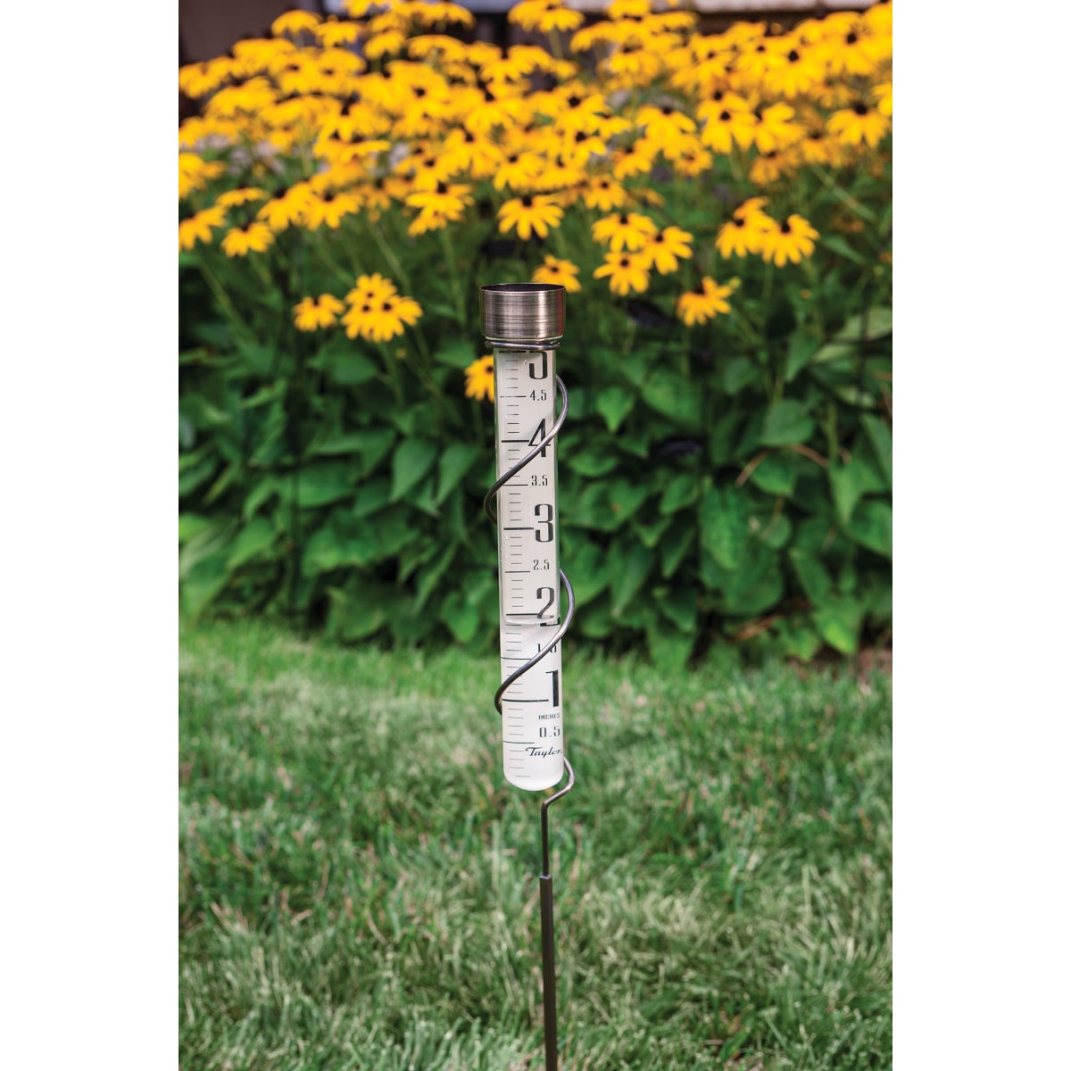 Taylor Heritage Collection 5 In. Glass Rain Gauge