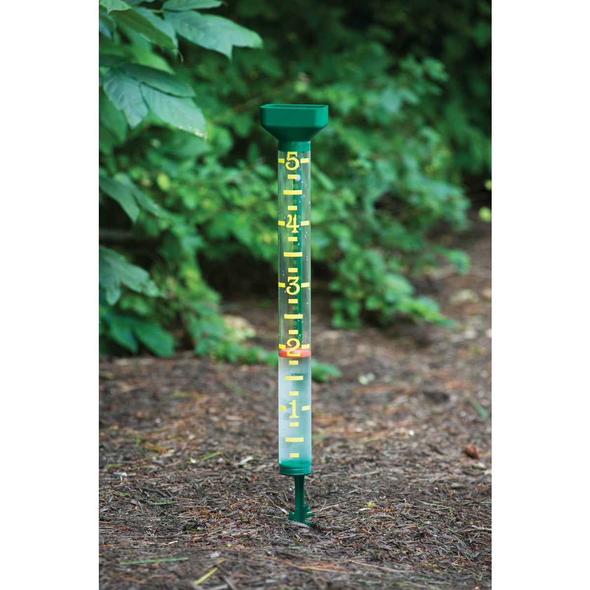 EZRead 5 In. Plastic Jumbo Rain Gauge