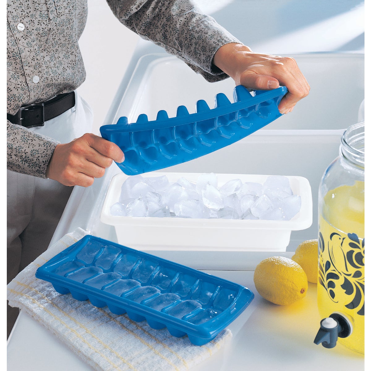 Rubbermaid Servin' Saver Ice Cube Storage Bin