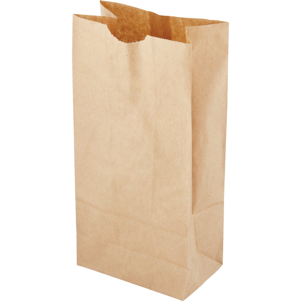 AJM Paper Lunch Bag (50-Count)