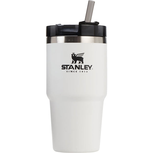 Stanley 20 Oz. Polar White Adventure Insulated Tumbler with Straw