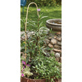 Best Garden 3 Ft. H. Natural Bamboo U-Hoop Plant Support (3-Pack)