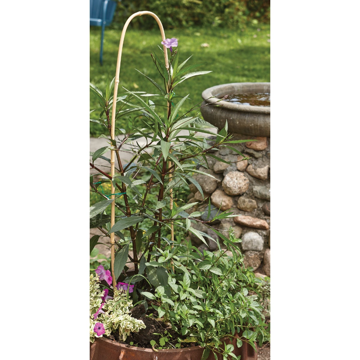 Best Garden 3 Ft. H. Natural Bamboo U-Hoop Plant Support (3-Pack)