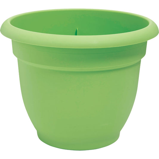 Bloem Ariana 6.5 In. H. x 6 In. Dia. Plastic Self Watering Honey Dew Planter