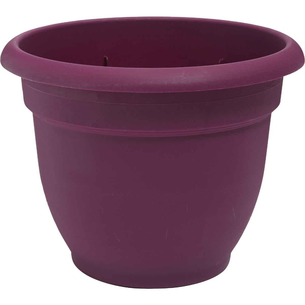 Bloem Ariana 6.5 In. H. x 6 In. Dia. Plastic Self Watering Passion Fruit Planter