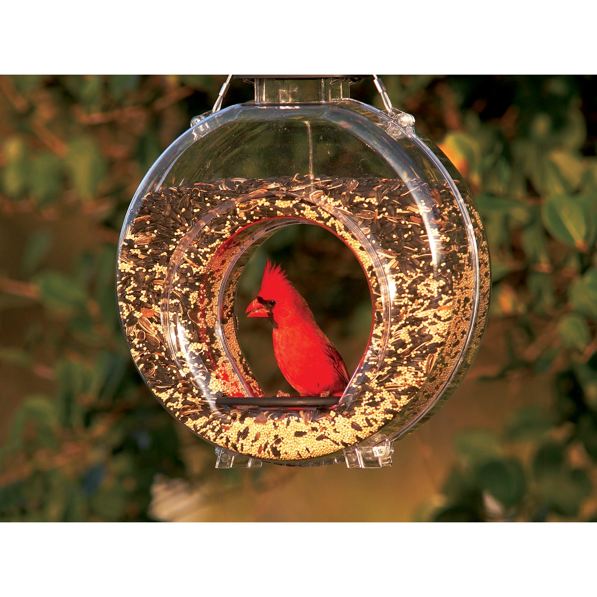 Stokes Select Clear Plastic 4.7 Lb. Capacity Canteen Bird Feeder