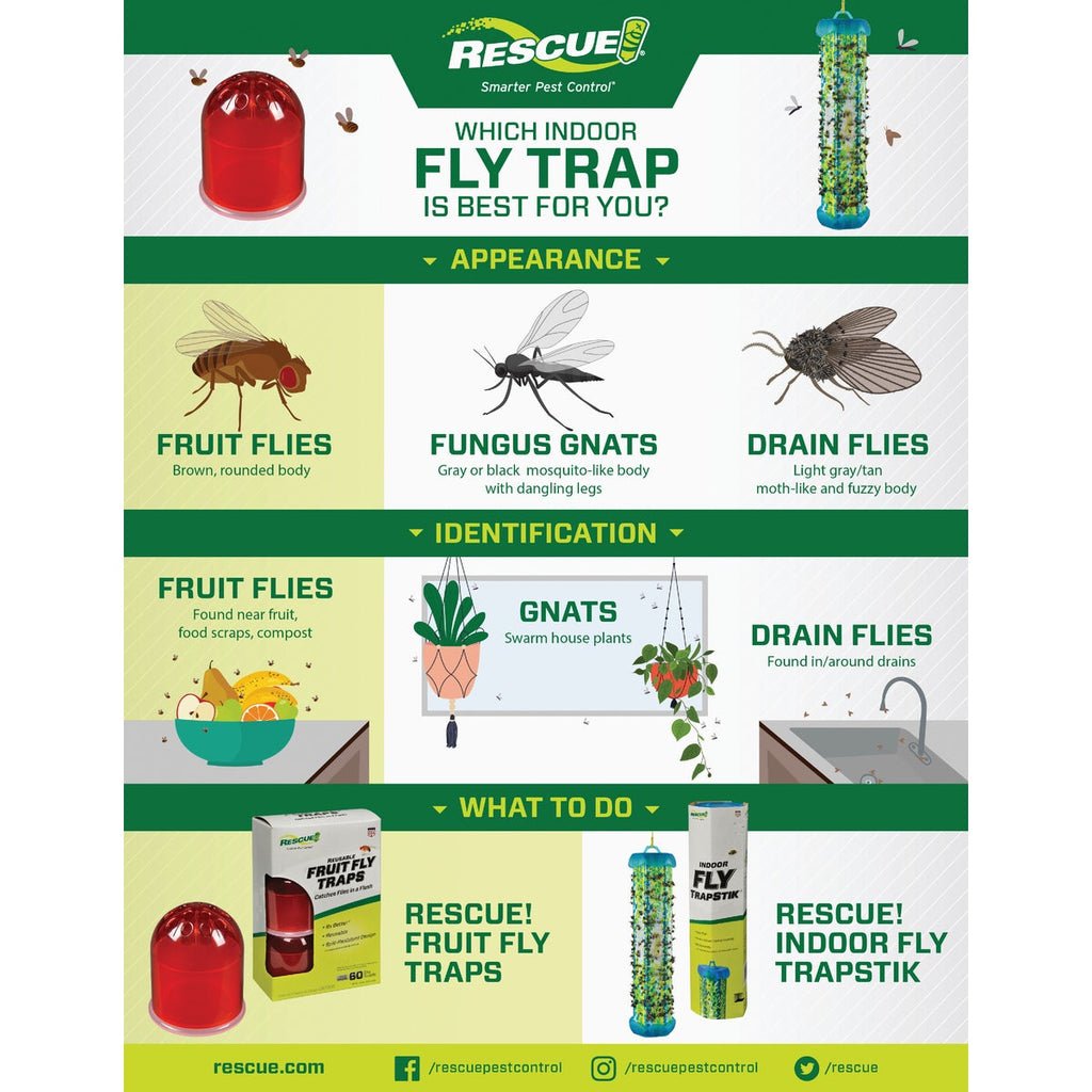 Rescue TrapStik Disposable Indoor Fly Trap