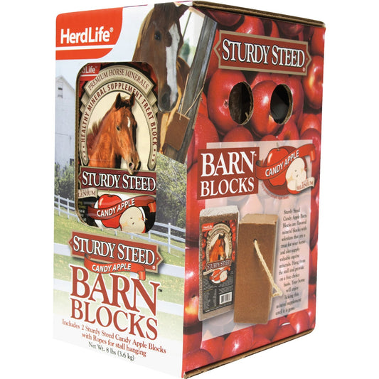 HerdLife Sturdy Steed 4 Lb. Candy Apple Horse Block (2-Pack)