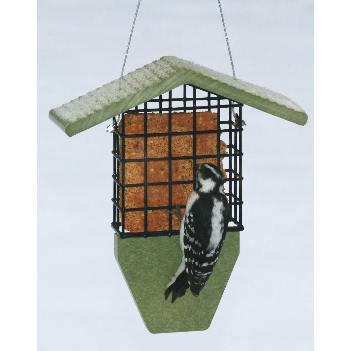 Bird's Choice Green Solutions Green 1-Cake Plastic Tail Prop Suet Feeder