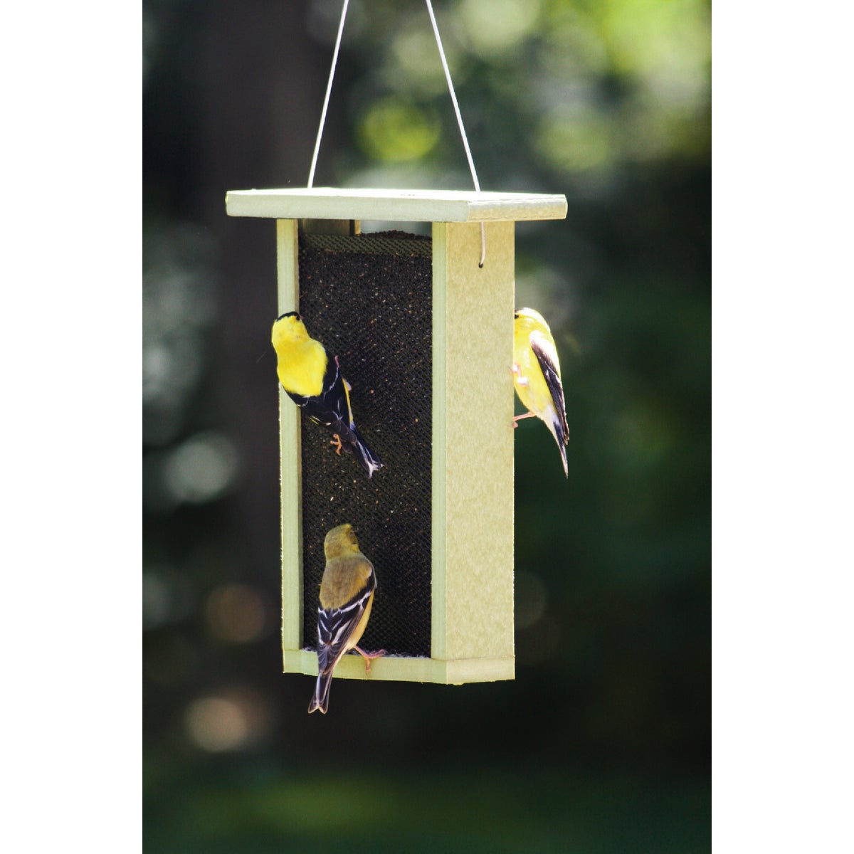 Bird's Choice Green Solutions 10-3/16 In. 1-1/2 Qt. Capacity Green Finch Thistle Feeder