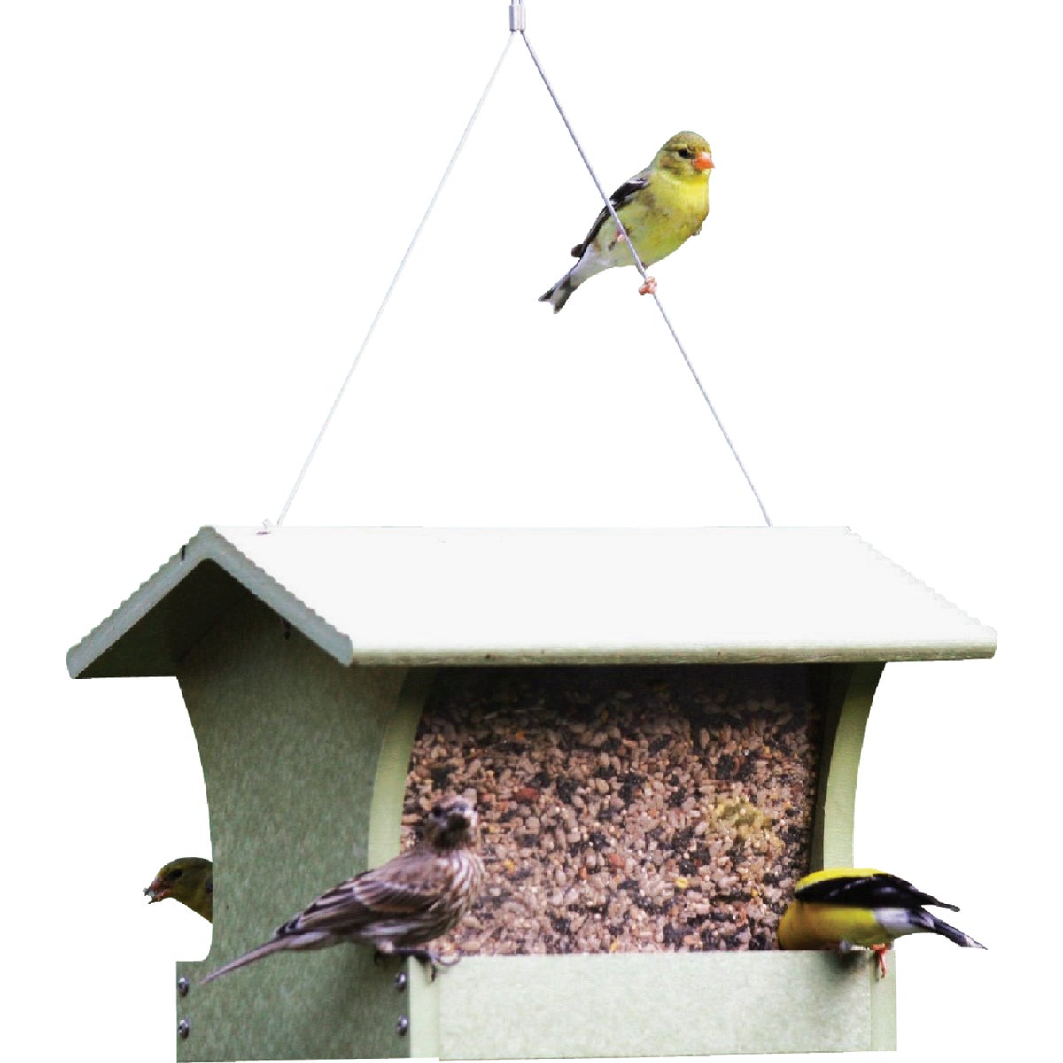 Bird's Choice Green Solutions Green Plastic Hopper Bird Feeder, 3 Qt.