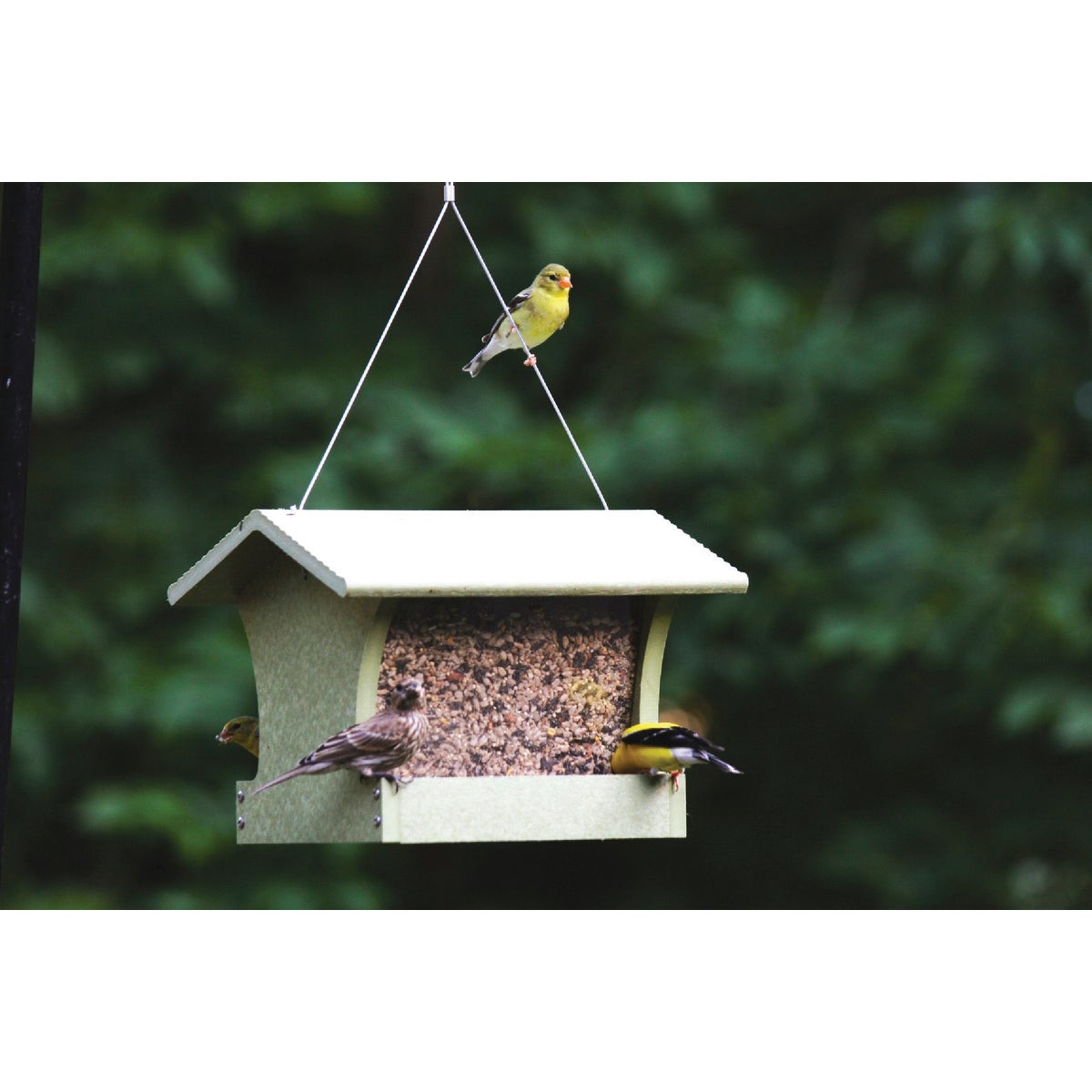 Bird's Choice Green Solutions Green Plastic Hopper Bird Feeder, 3 Qt.