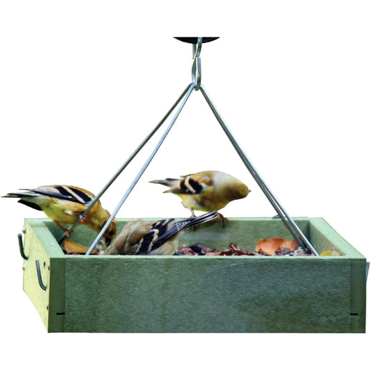 Bird's Choice Green Solutions Green Plastic Tray Bird Feeder