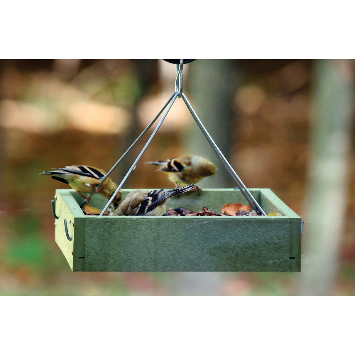 Bird's Choice Green Solutions Green Plastic Tray Bird Feeder