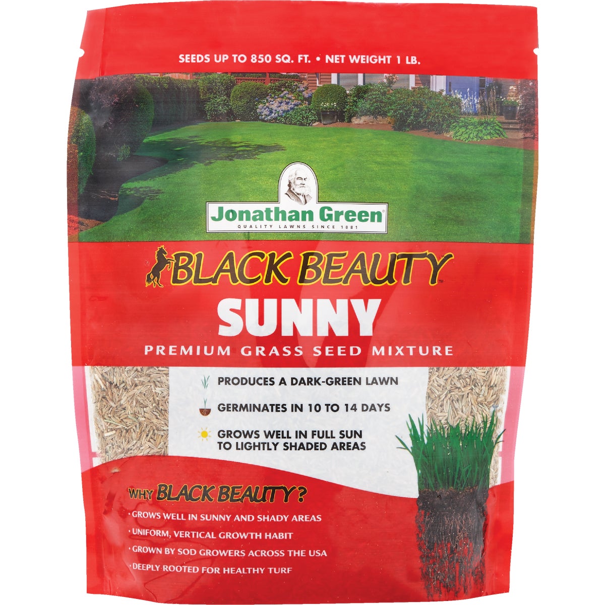 Jonathan Green Black Beauty 1 Lb. 425 Sq. Ft. Coverage Full Sun Grass Seed