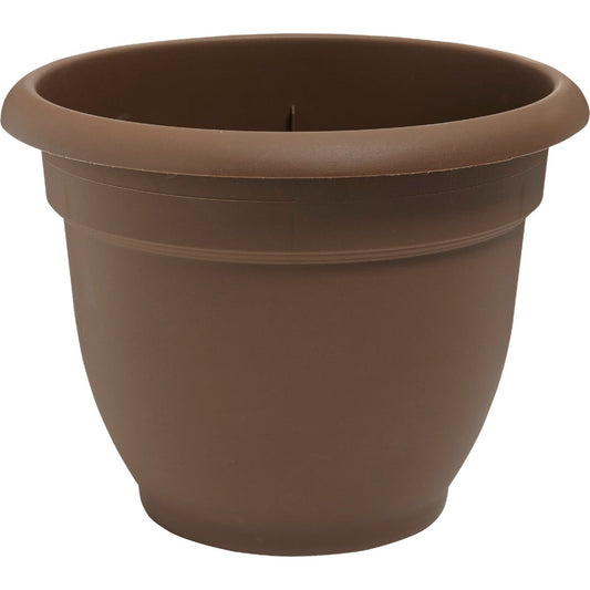 Bloem Ariana 10 In. Plastic Self Watering Chocolate Planter