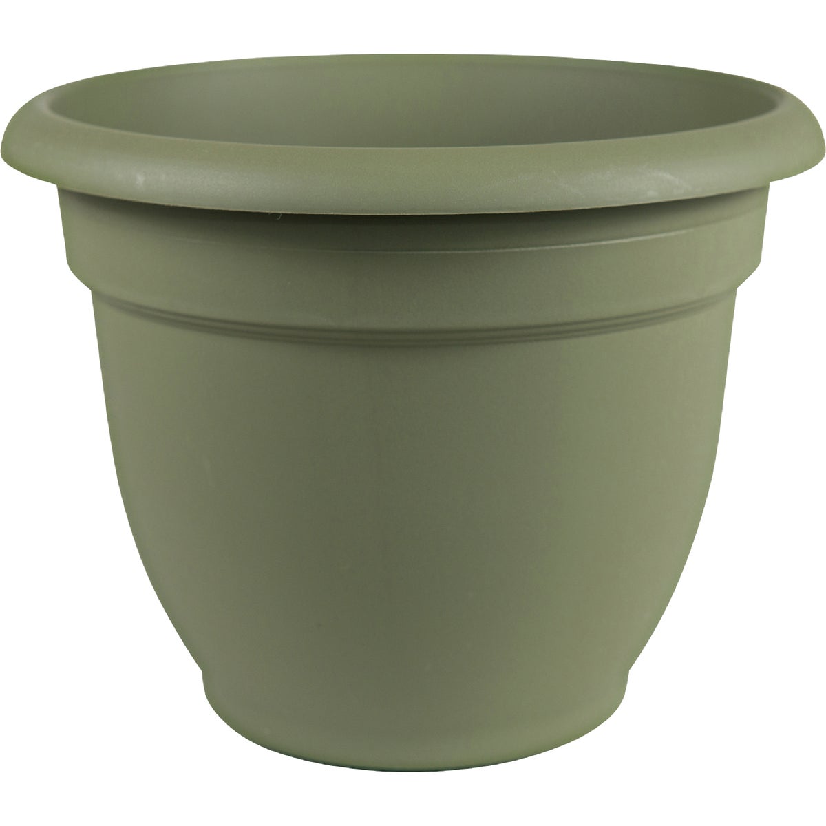 Bloem Ariana 10 In. Plastic Self Watering Thyme Green Planter