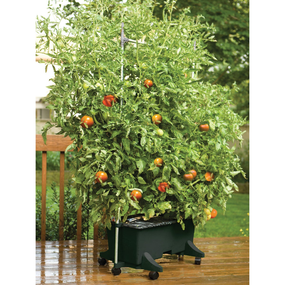 EarthBOX 14 In. W. x 11 In. H. x 29 In. L. Black Plastic Garden System