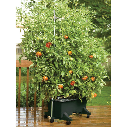 EarthBOX 14 In. W. x 11 In. H. x 29 In. L. Black Plastic Garden System