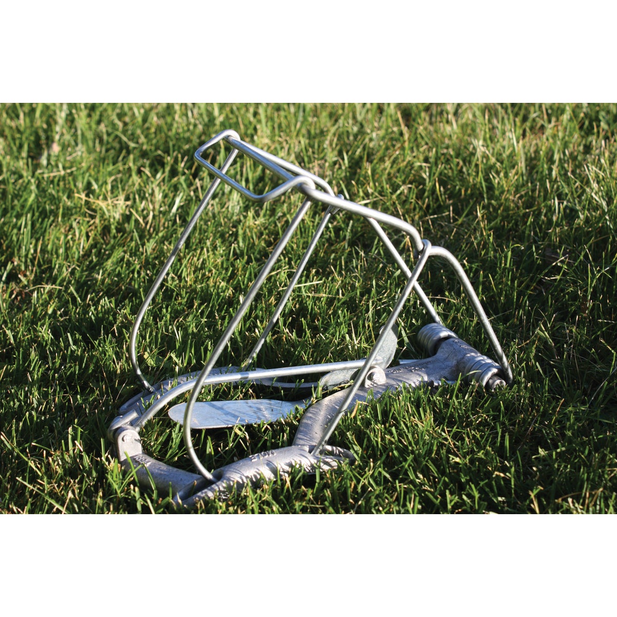 Nash Steel Choker Loop Mole Trap