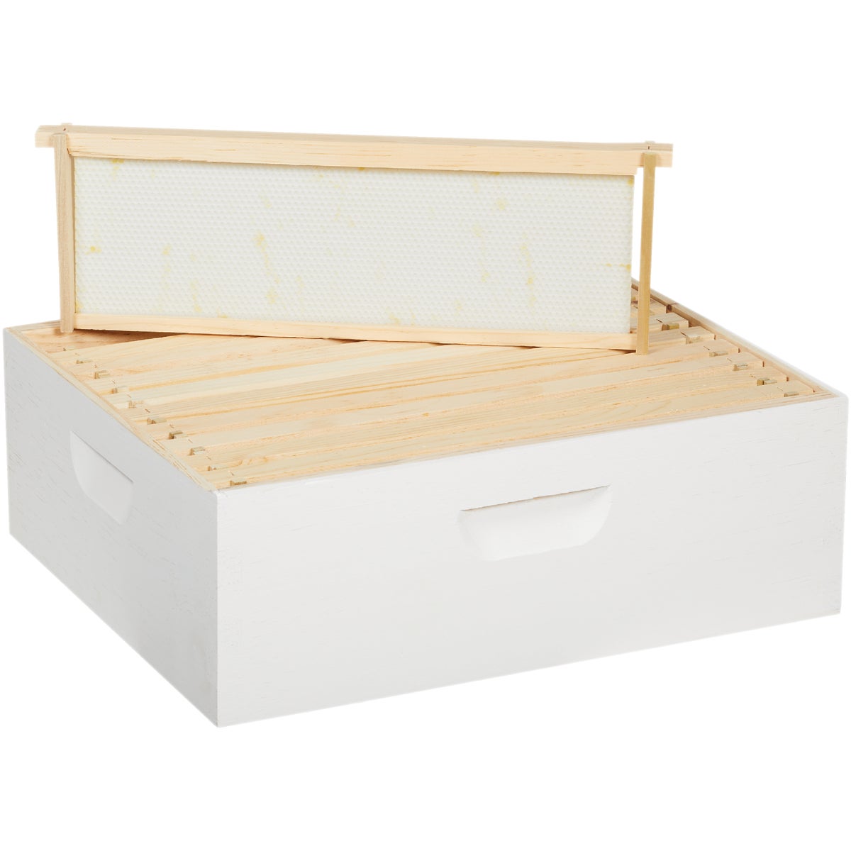 Harvest Lane Honey Medium Beehive, 10 Frames