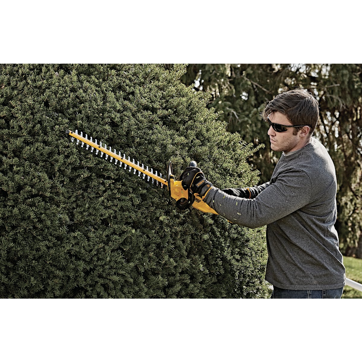 DeWalt 20V MAX 22 In. Lithium Ion Cordless Hedge Trimmer