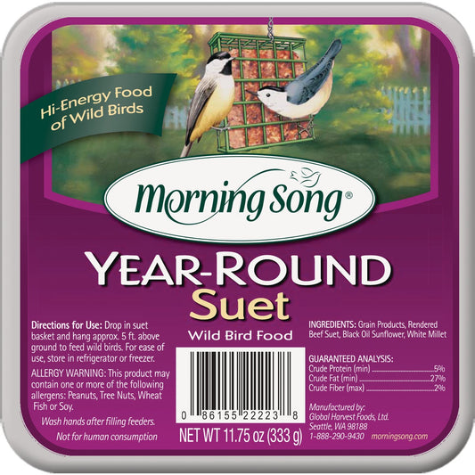 Morning Song 11.75 Oz. Year Round High Energy Suet