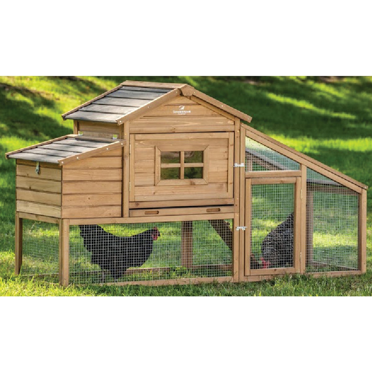 SummerHawk Ranch Macchiato 3-Chicken Coop