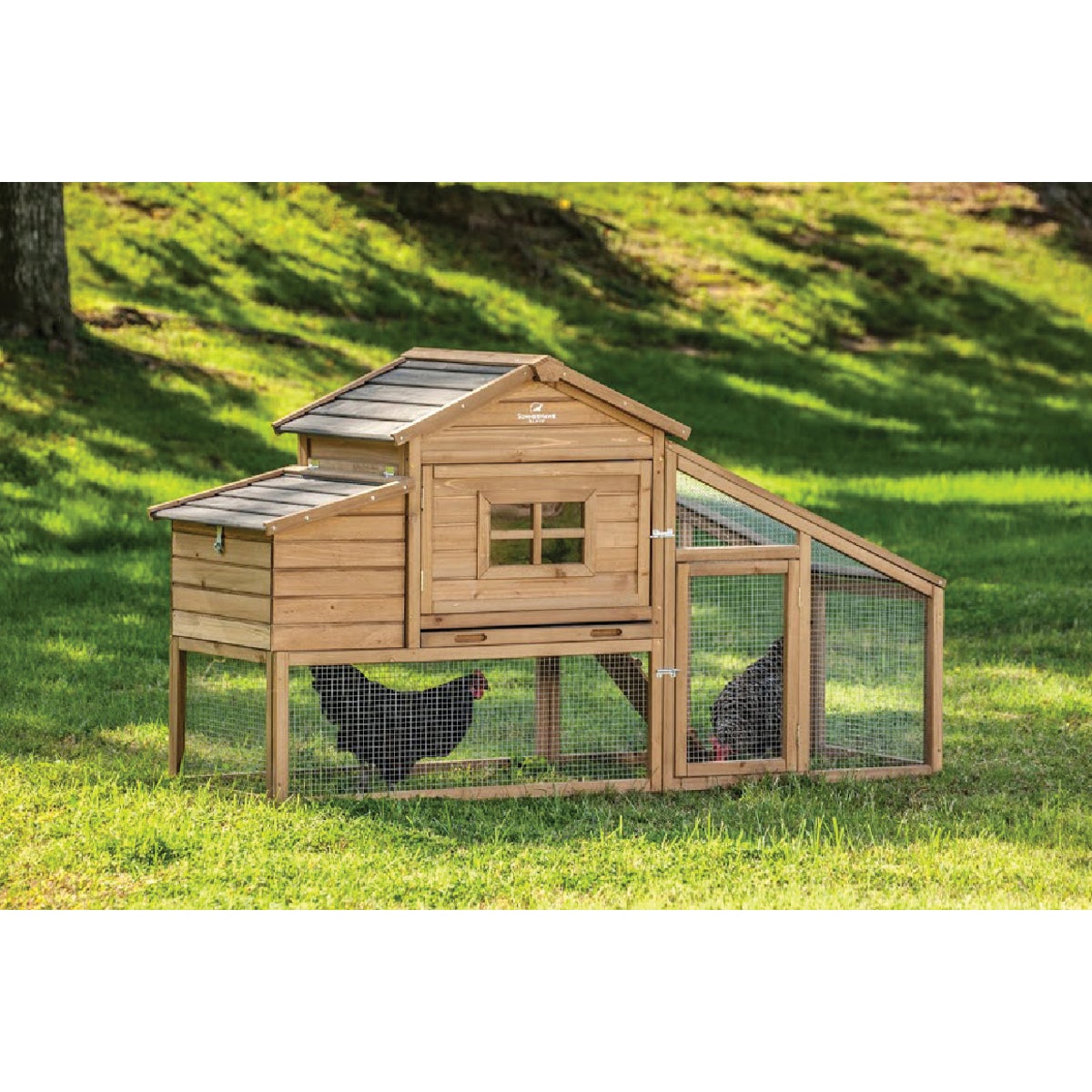 SummerHawk Ranch Macchiato 3-Chicken Coop