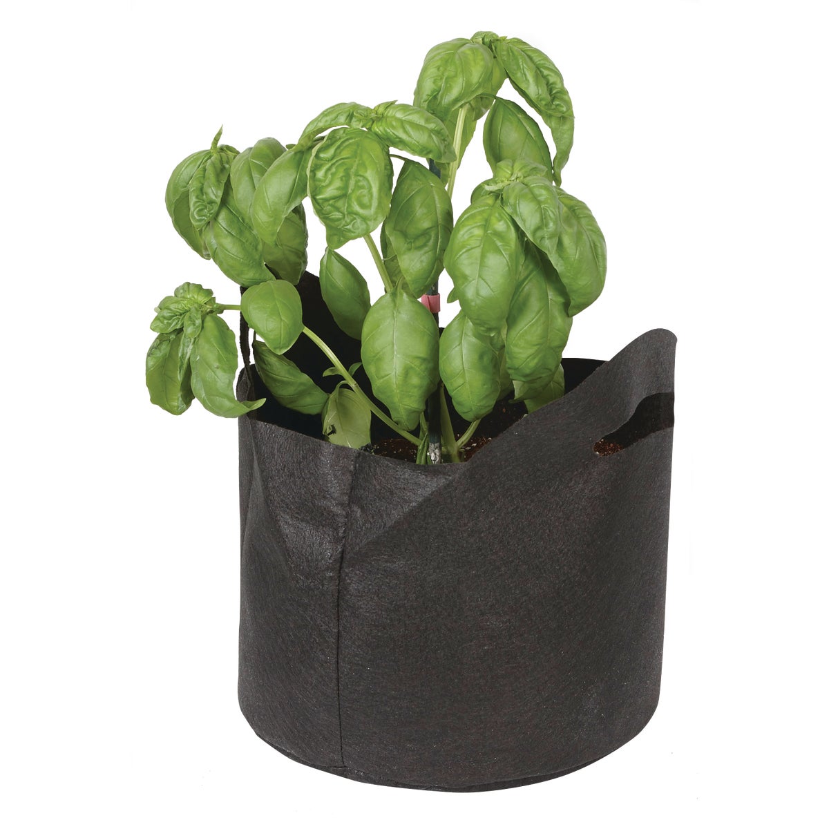 Root Farm Felt Medium Garden Pot