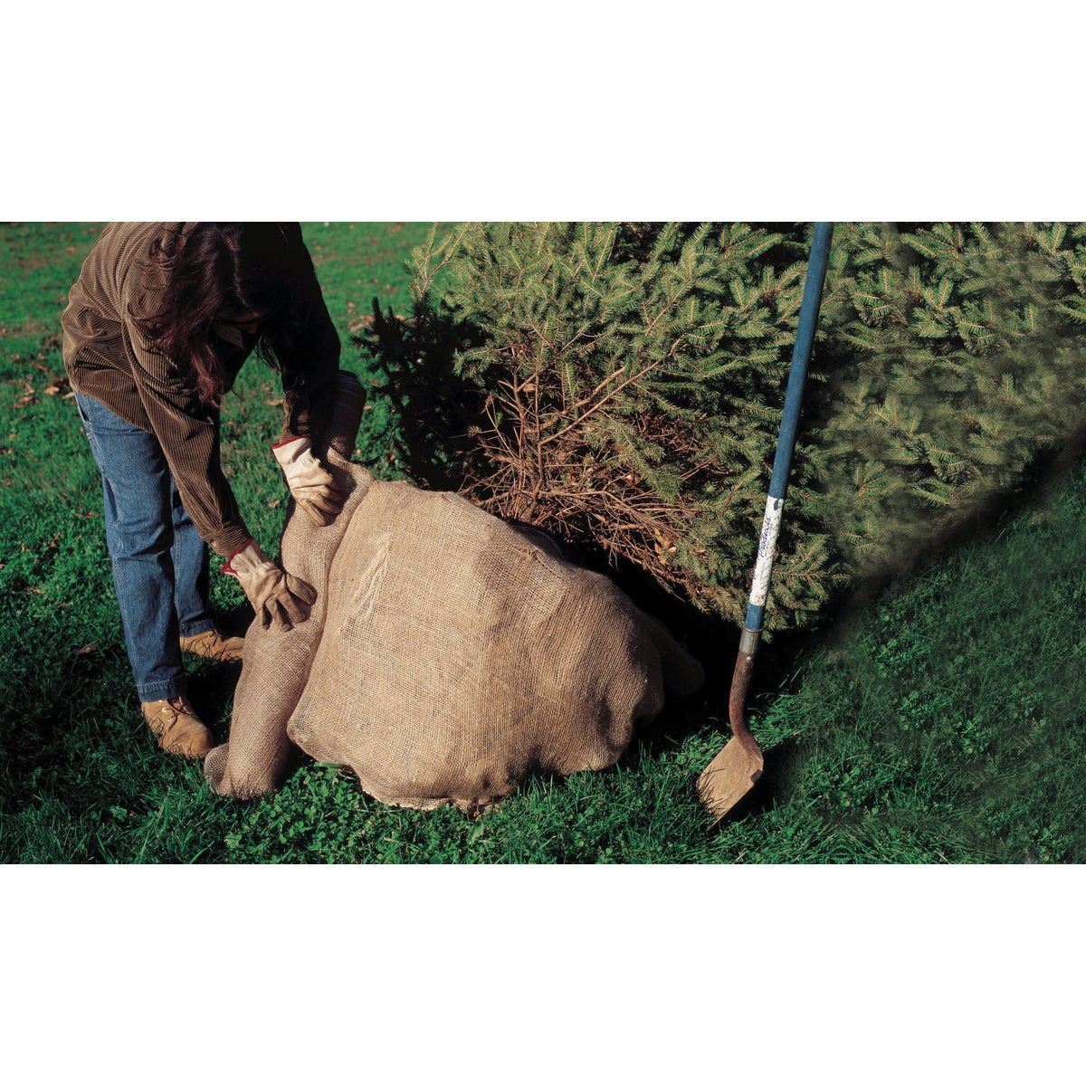 DeWitt 48 Ft. W. x 3 Ft. L. Natural Burlap