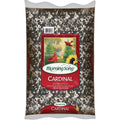 Morning Song 20 Lb. Cardinal Wild Bird Seed