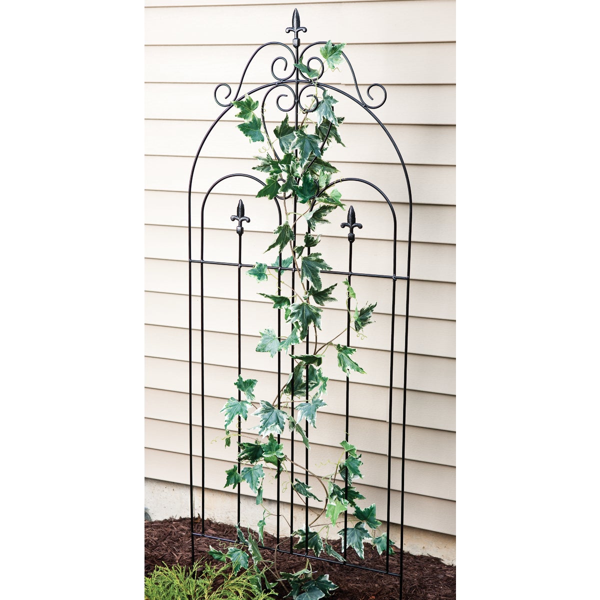 Best Garden Metal Cathedral Black Trellis