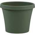 Bloem Terra Living Green 5.5 In. H. x 6 In. Dia. Polypropylene Planter