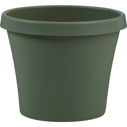 Bloem Terra Living Green 5.5 In. H. x 6 In. Dia. Polypropylene Planter