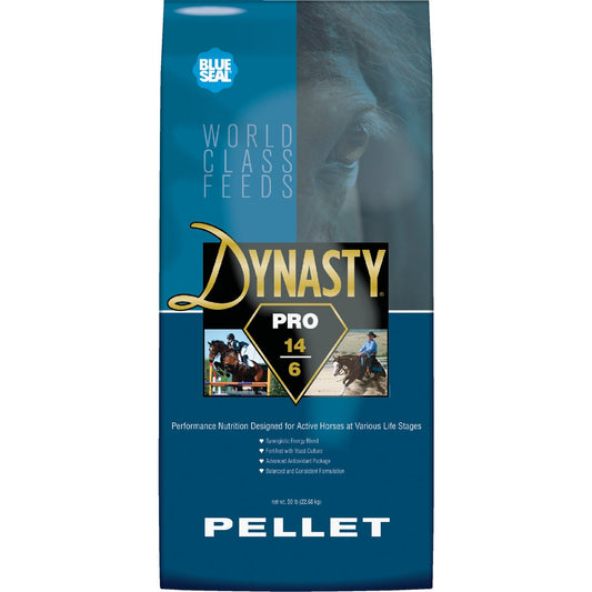 Kent Dynasty Pro 50 Lb. Active Horse Feed