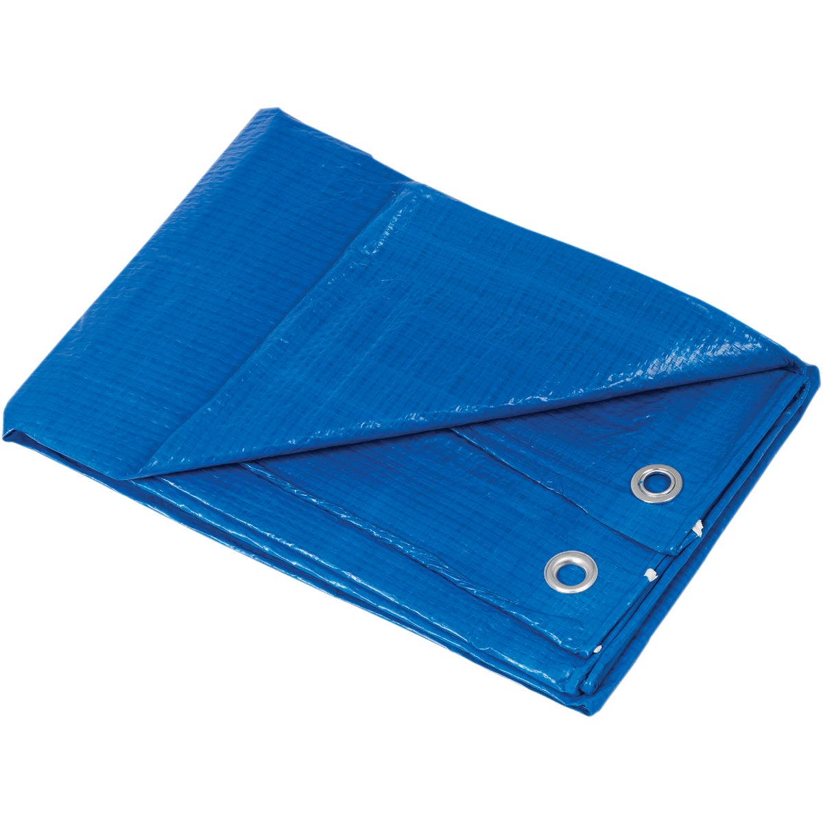 Smart Savers Blue PE 3 Ft. x 5 Ft. Poly Tarp