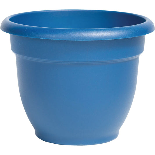 Bloem Ariana 6.5 In. H. x 6 In. Dia. Plastic Self Watering Classic Blue Planter