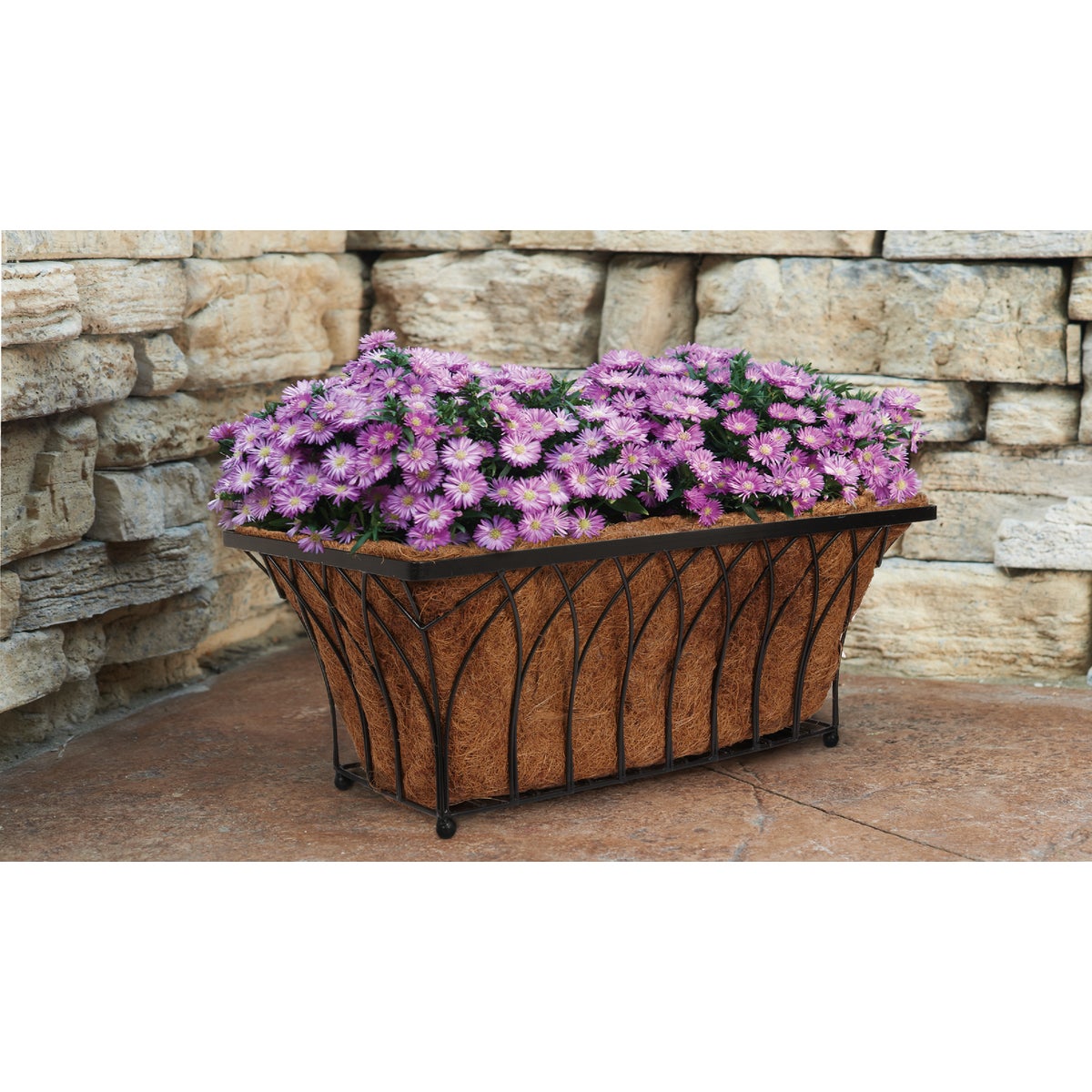 Best Garden 11 In. H x 22 In. Steel Rod Black Planter